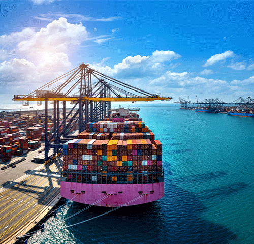 Global Import & Export